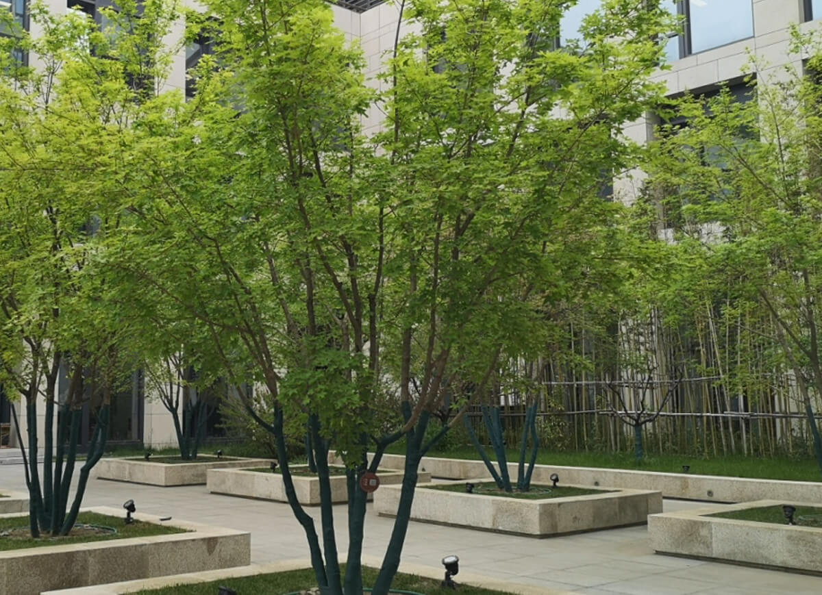 bet9九州(中国区)官方网站-Officials Website