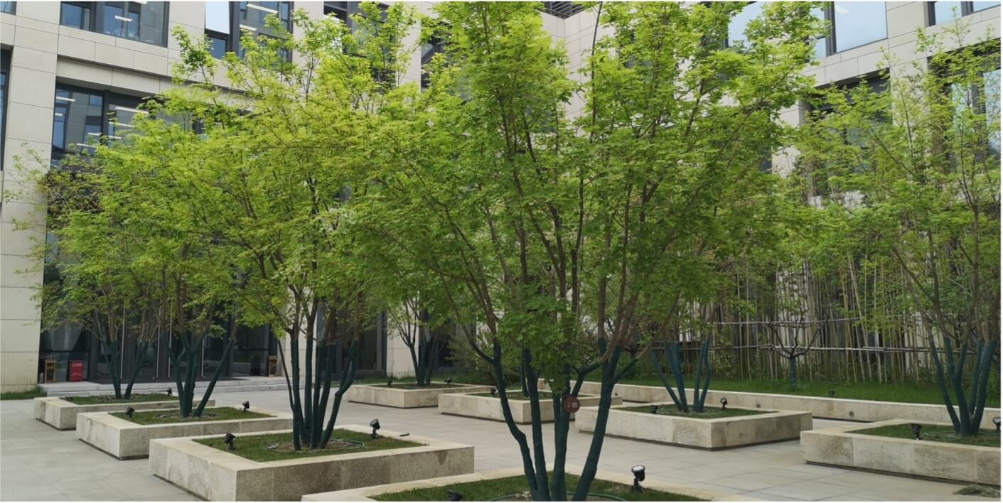 bet9九州(中国区)官方网站-Officials Website